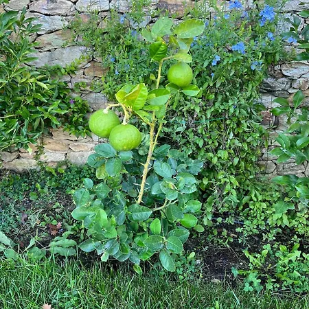 The Lemon House, With Private Garden At Le Manie, Finale Ligure Varigotti