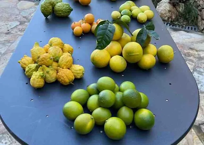 Apartamento The Lemon House, With Private Garden At Le Manie, Finale Ligure Varigotti