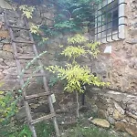 The Lemon House, With Private Garden At Le Manie, Finale Ligure Varigotti