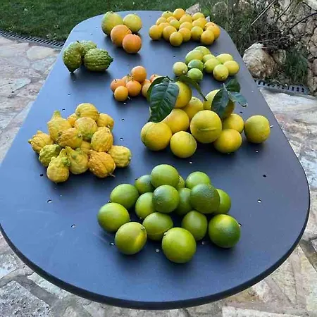 Apartament The Lemon House, With Private Garden At Le Manie, Finale Ligure Varigotti
