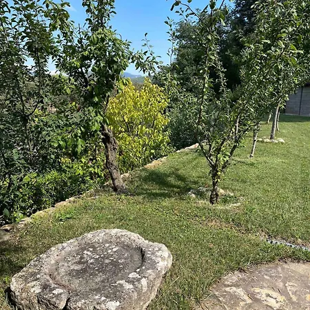 The Lemon House, With Private Garden At Le Manie, Finale Ligure Apartament *